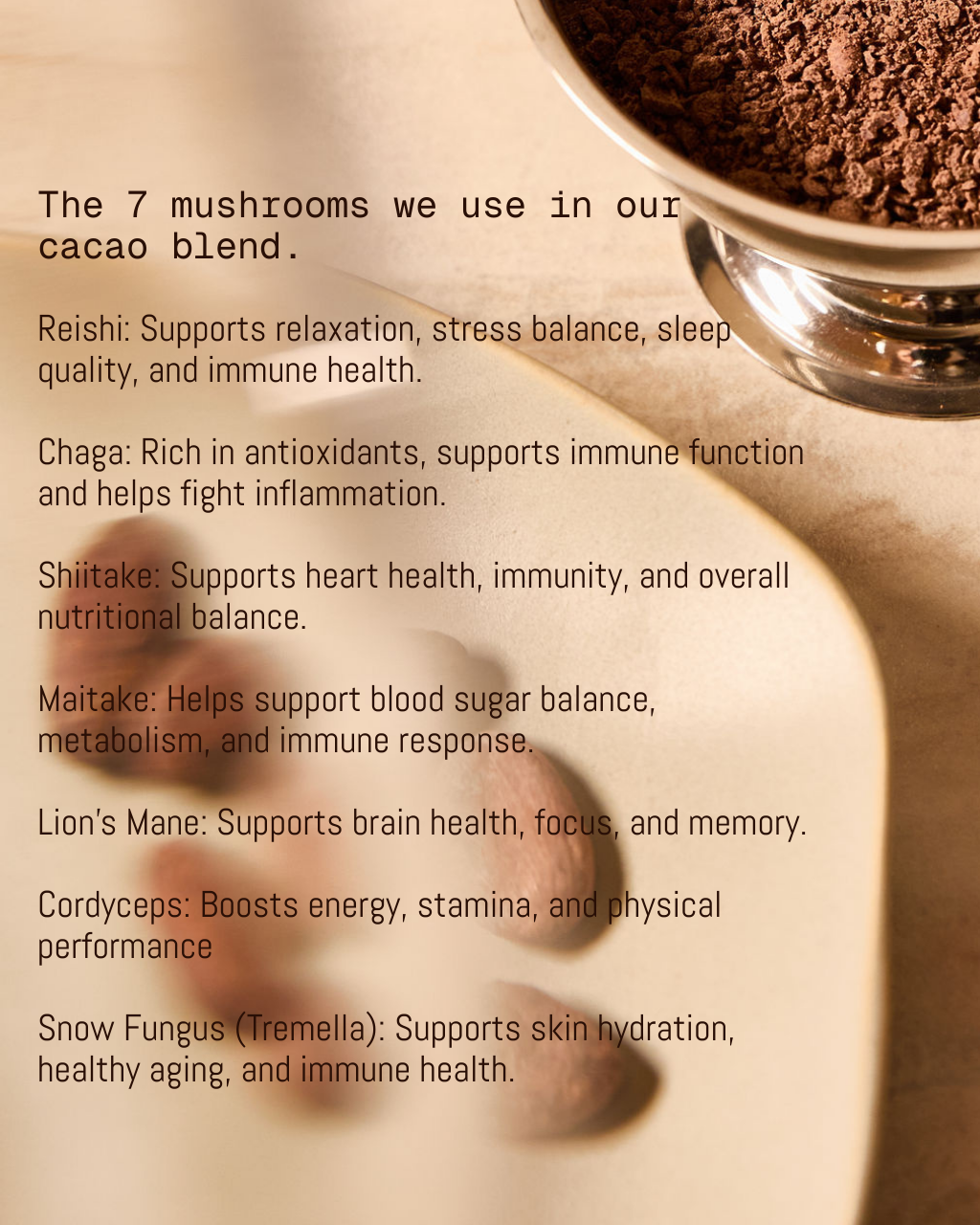 cacao mushroom infused, benefits mushroom