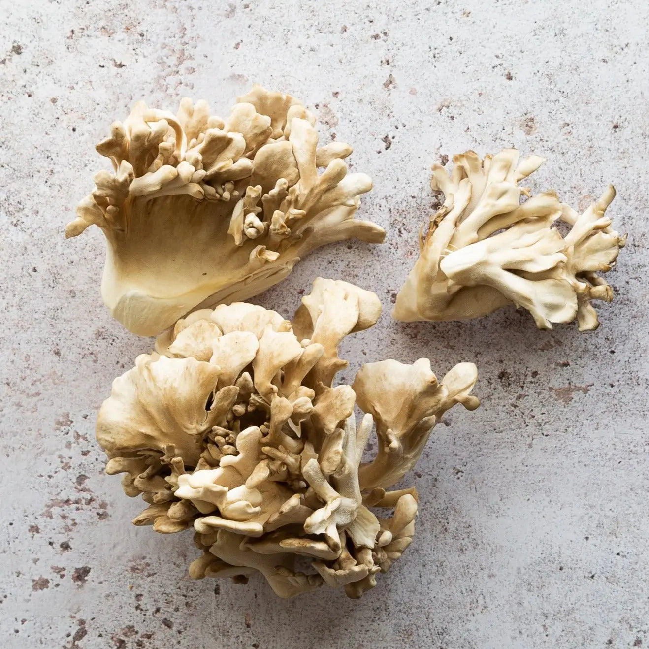 Three pieces of Maitakemushrooms on a textured gray surface